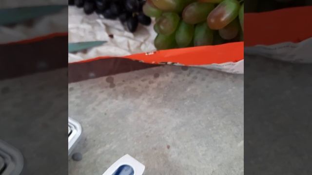 Виноград в Приморском крае! Виноград Кишмиш Китай и США Юпитер - кто слаще и вкусней???? смотреть онлайн