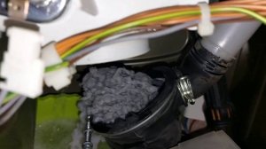 Стиральная машина Bosch Maxx5 не сливает