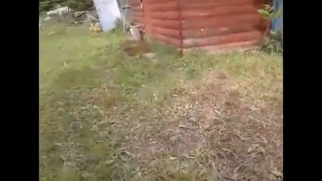 ТАЙНЫ НАШЕГО ПОСЕЛКА #1 смотреть онлайн