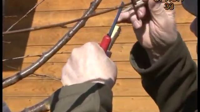 Дачные хитрости.выпуск №2 смотреть онлайн