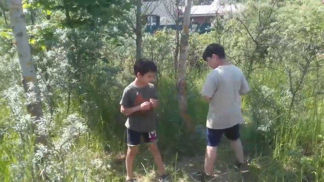 Ушу.Самозащита.Дети.Взрослые смотреть онлайн