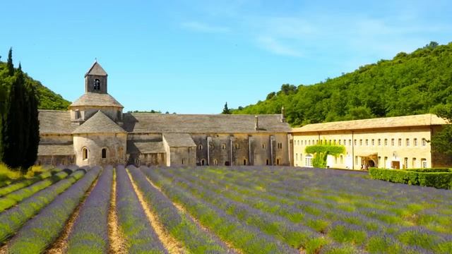 Твой муж обманывает тебя, Лиза! У него есть другая женщина! Более того, у них скоро будет ребёнок! смотреть онлайн