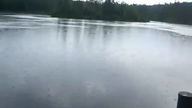 Глубелька (парк Нарочанский) смотреть онлайн