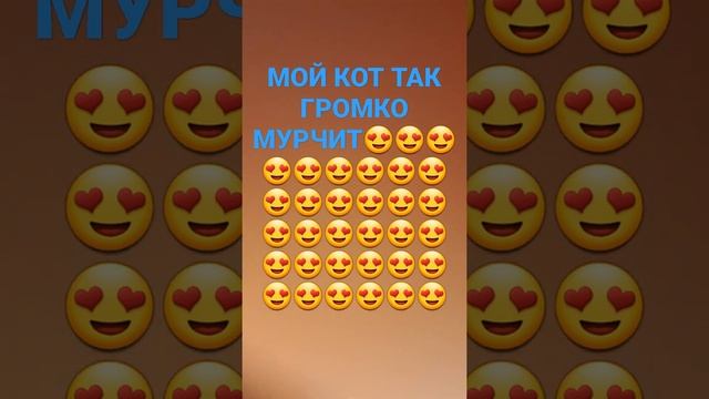 мой кот так громко мурчит/кошка крошка смотреть онлайн