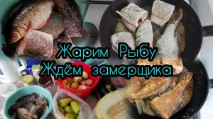 Снова ☔Дождь/Помощь ближним/Наши будни