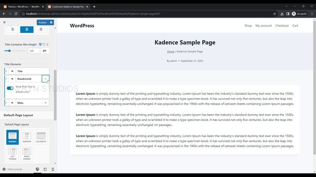 Kadence WordPress Theme - All the Single Page Customizing options смотреть онлайн