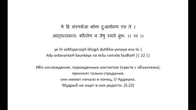 Бхагавад Гита курс Свамини Видьянанды Сарасвати 169 Глава 5 Шлокa 22 смотреть онлайн