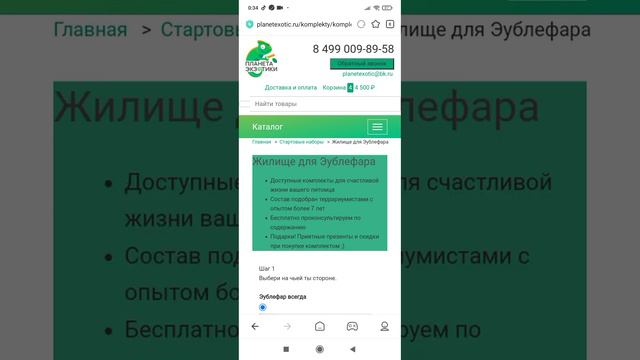 8 октября 2022 г. смотреть онлайн
