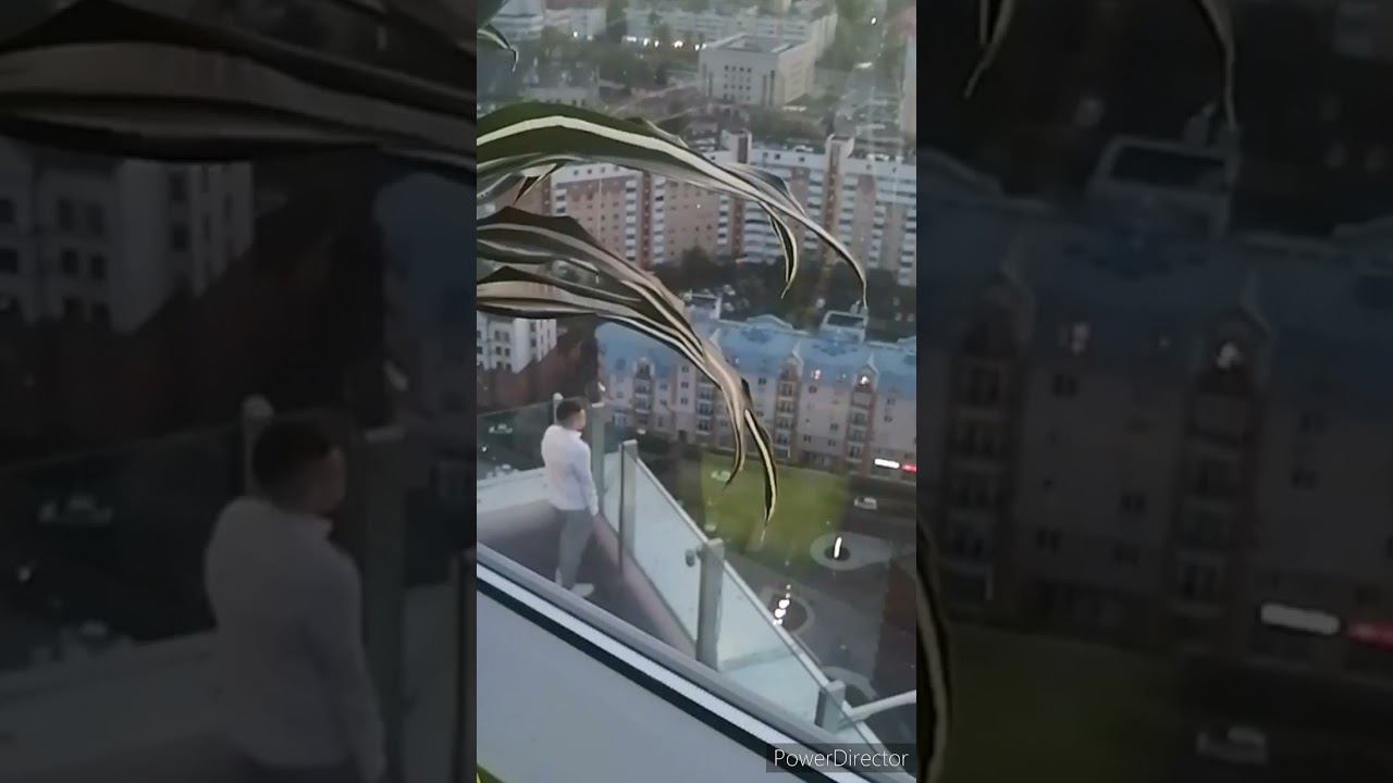 А с кем твой ДОМ? смотреть онлайн