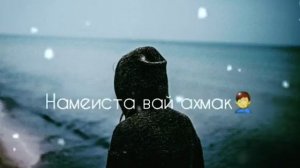 Шохин Насими гарпари #2024 #top #hit2024 #подпишись