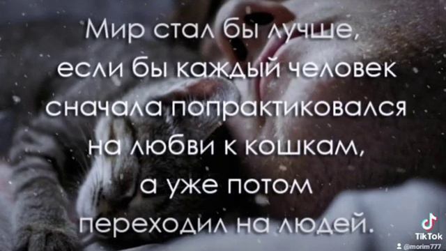 Мир стал бы лучше? смотреть онлайн