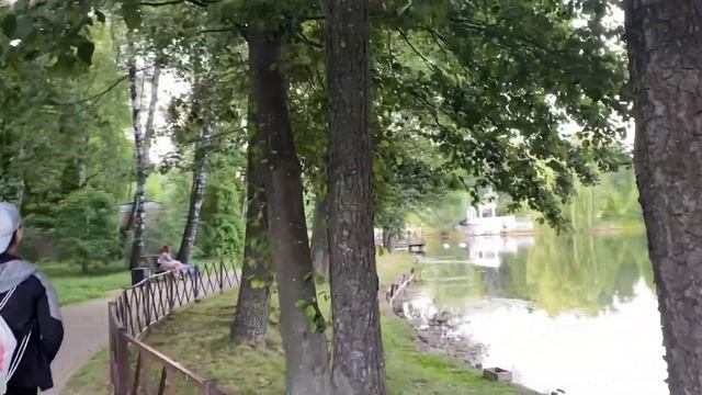 Как бы живой уйти после всех практик. Чуть не заблудились. Лебеди вернулись! Встреча с ёжиком. смотреть онлайн