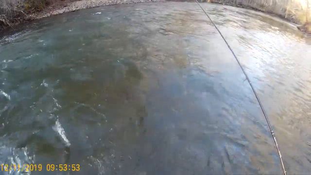 Хариус на Уссури 12-13.11.19г смотреть онлайн