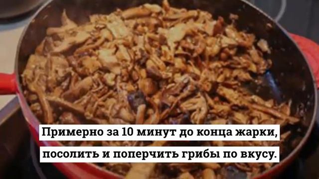 Шоу и Концерты