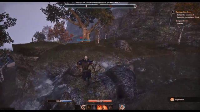The Elder Scrolls Online | Altmer Magicka Sorceror | Graphics Mods | смотреть онлайн