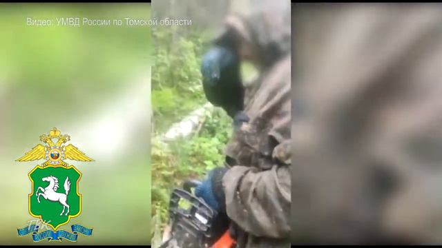 Жителю д.Волково грозит до 4 лет лишения свободы за незаконную рубку деревьев смотреть онлайн