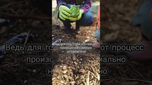 когда проснется человечество #shorts #мотивациянауспех #личныеграницы #психология