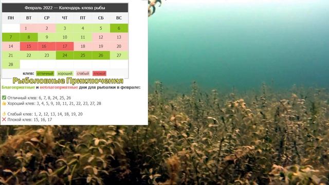 Календарь рыбака на Февраль 2022. Прогноз клева рыбы. Лунный календарь рыболова Февраль 2022. смотреть онлайн