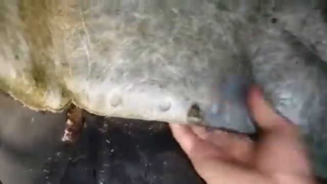 додж караван без торпедо .От куда вода в салоне? смотреть онлайн