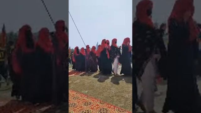 Cultural Festival смотреть онлайн