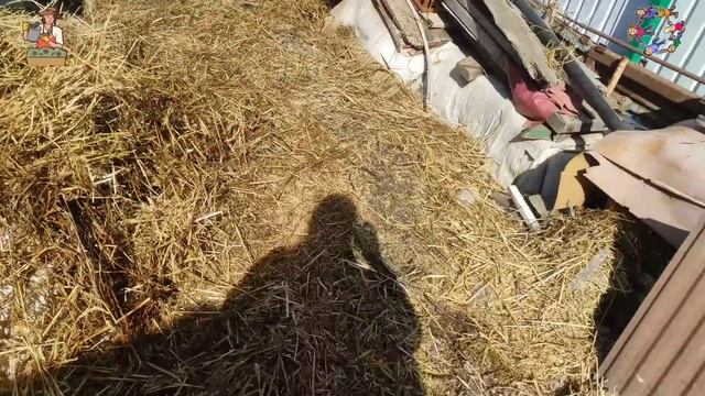 ✅ПОМОГАЕМ БАБУШКЕ НА ДАЧЕ ?? Навоз, сено, мусор, вода в подполе. смотреть онлайн