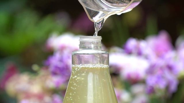 Just one bottle! Immediately the orchid roots became plump and 100 flower branches bloomed смотреть онлайн