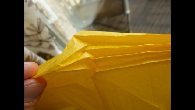 MOST REALISTIC ORIGAMI WASP - Yellow Jacket By Robert J Lang смотреть онлайн