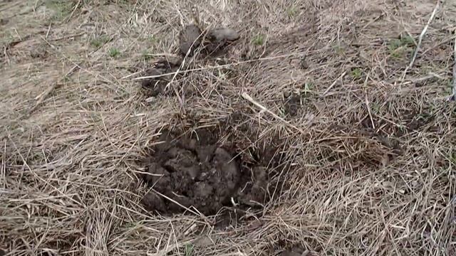 Как хорошо, что я не знал о том, что тут весь металлолом уже до меня выкопали смотреть онлайн