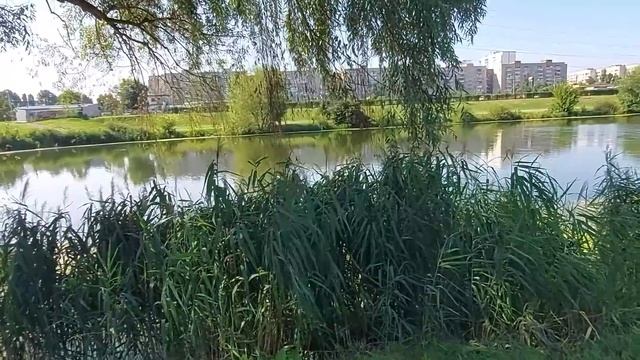 #Похудение.Вес держу☝️Ем вкусно?Двигаюсь в системе и в кайф??Похудела в 56 лет-44 кг?