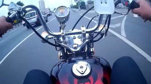 Regal Raptor DD50E 95cc