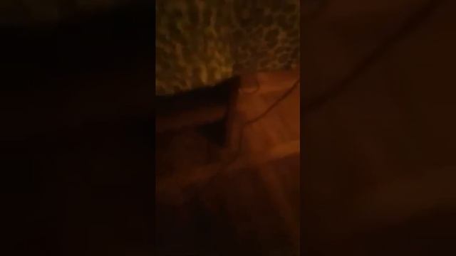 Играем В Мои Игры На Ноутбуке смотреть онлайн