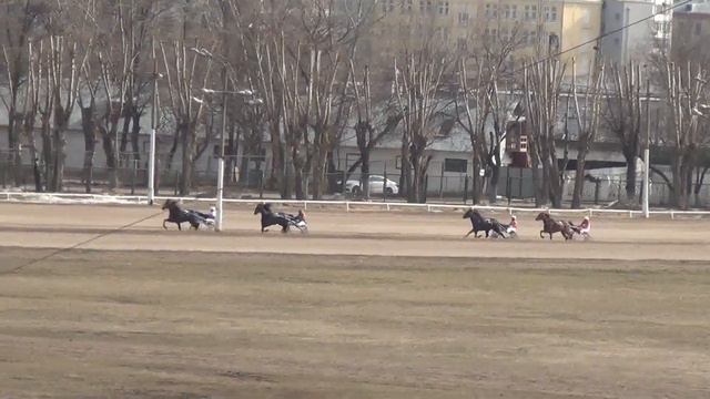 Московский ипподром. Бега. 29.03.15. Заезд 5(139) смотреть онлайн