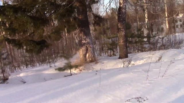 тагильские лесовики в заброшенной в ч где то в лесу смотреть онлайн