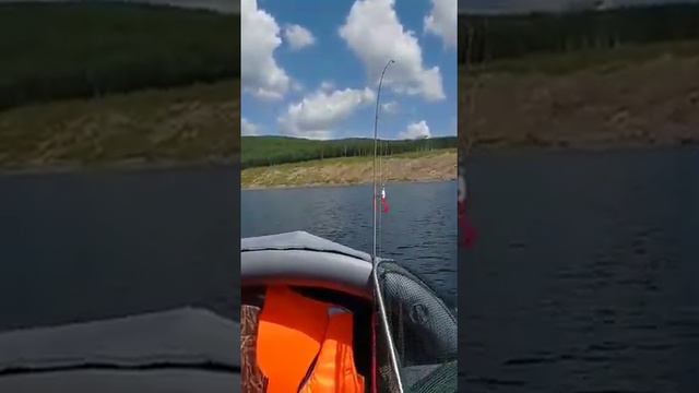 р. Бурея. Место оползня август 2022 г смотреть онлайн