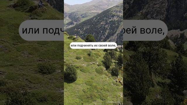 "Цитаты Великих людей" Мишель Монтень 2 #мудрость #мудрыемысли #цитаты смотреть онлайн