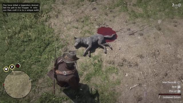ALL 16 Legendary Animal Locations in Red Dead Redemption 2 смотреть онлайн