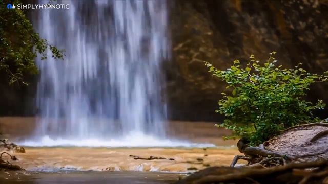 🎧 Relax 24/7 - Music For Meditation And Mindfulness, Spa Music, Relaxation And Healing