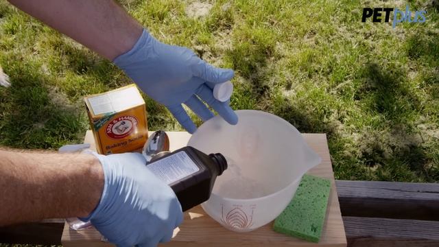 How to Remove Skunk Smell from Your Dog смотреть онлайн