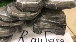 Террариум + фон для эублефара