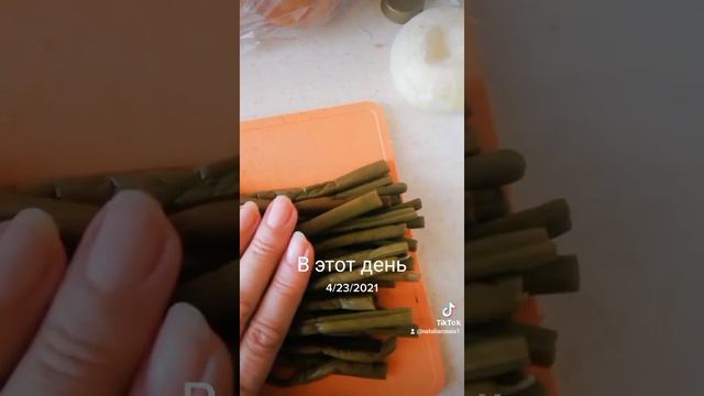 Анталья. Папоротник. Рецепт приготовления консервированного папоротника. смотреть онлайн