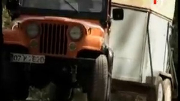 Dazzle Dreams Мила