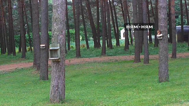 IS THERE ANYTHING TO EAT?\ЕСТЬ ЧТО ПОЕСТЬ? смотреть онлайн