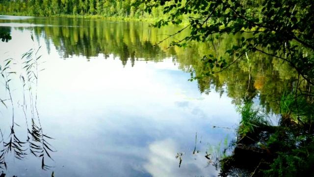 «Сияние» гармонизирующая музыка, гусли. С. Виноградова. (Лада для Светы.) смотреть онлайн