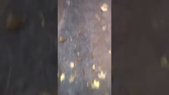 Аюрведичні поради на кожен день смотреть онлайн