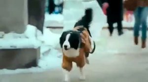 Мой парень -  Ангел (чудесная рождественская история)