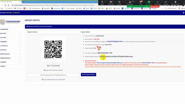6 Декабря.  Презенация проекта PunkPanda с ответами на вопросы!