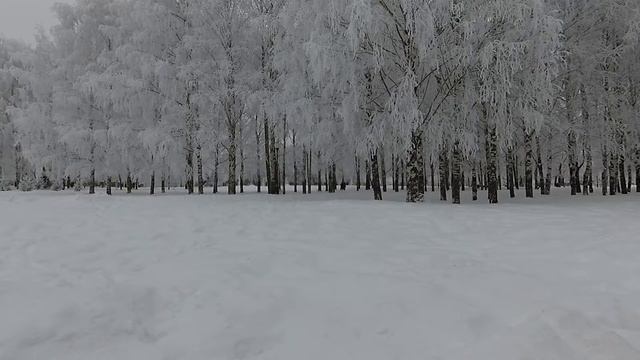 Зимнее настроение: природа, снег, деревья и красивая музыка для души смотреть онлайн