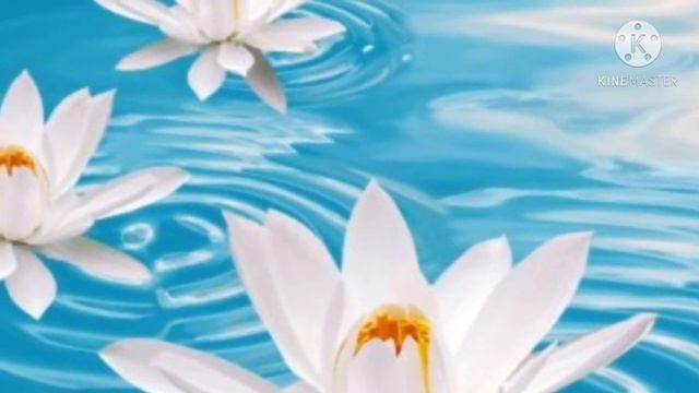 БЫК. Характеристика рожденных в год БЫКА и ваша стихия. смотреть онлайн