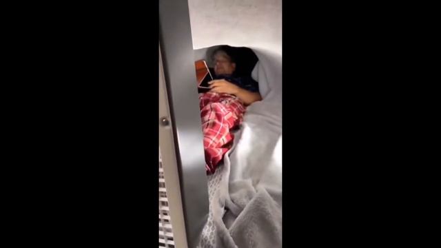 Мопс пердит 1 час смотреть онлайн