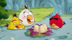 Angry Birds Toons Compilation   Season 1 All Episodes Mashup mp4